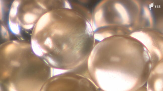 宇宙で働く人たちに癒やしの時間を「香るカプセル」国際宇宙ステーションへ コンセプトは「地球を思い出す香り」=静岡|TBS NEWS DIG