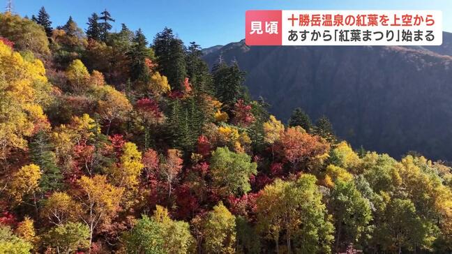 渓谷色づく…紅葉の絶景　北海道十勝岳温泉はいまが見頃　4日からは「十勝岳紅葉まつり」も|TBS NEWS DIG