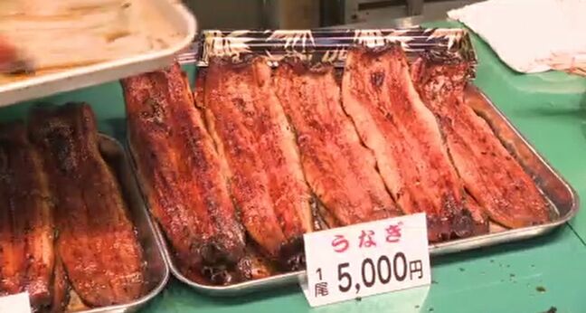 ウナギの価格に新たな懸念 稚魚は豊漁でも「タレ・炭・容器」が高騰|TBS NEWS DIG