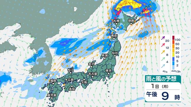 【大雨情報】北海道の日本海側と太平洋側西部、オホーツク海側北部は、2日明け方にかけて局地的に雷を伴った激しい雨が降り、大雨となる見込み　土砂災害や低い土地の浸水、河川の増水や氾濫に厳重に警戒【雨風シミュレーション】|TBS NEWS DIG