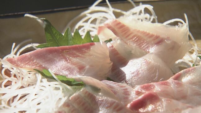 海藻を食い荒らす“海の厄介者”の魚アイゴを名物グルメに 「おいしい…間違いなく」地元の飲食店やホテルがメニュー開発 愛知・田原市|TBS NEWS DIG