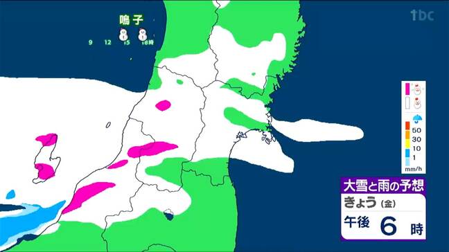【大雪情報】「昼前から広い範囲で雪。夕方以降は乾いて積もりやすい雪が勢い良く降る所も」tbc気象台 7日|TBS NEWS DIG