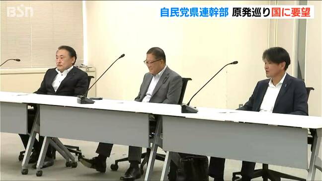 柏崎刈羽原発巡り　自民党 新潟県連幹部が安全対策や立地地域の振興策などを国に要望|TBS NEWS DIG