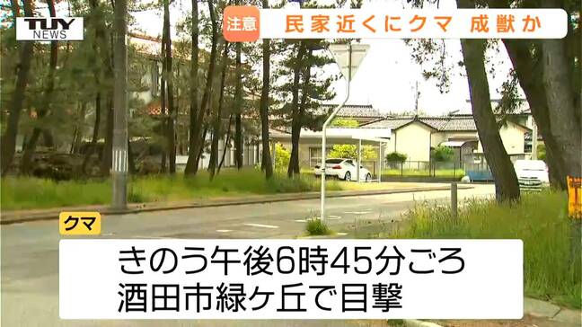 民家すぐ隣の林で...酒田市の住宅街でクマ1頭目撃　きょう夕方には米沢市でも目撃　クマ出没警報継続中（山形）|TBS NEWS DIG