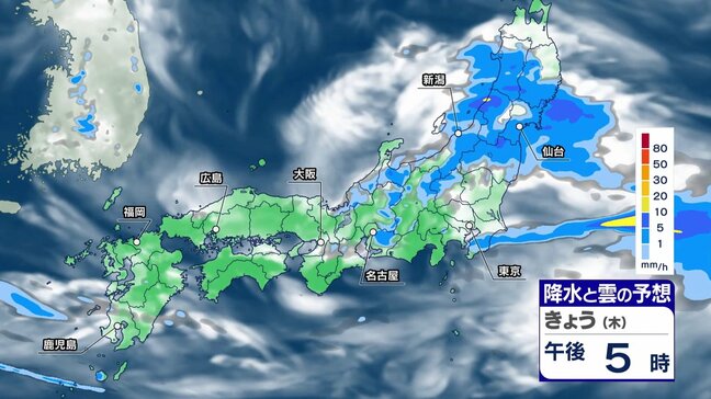 東日本や東北を中心に雨 夜は激しい雨の降る所も 台風9号が南の海上で発生、今後の進路に注意【2日これからの天気】|TBS NEWS DIG