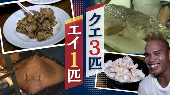 “釣り名人”のタンカー乗組員 エイと“格闘”30分超~「日章丸」同乗取材44日間の記録|TBS NEWS DIG