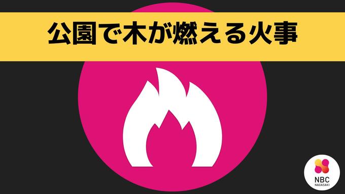 公園の木が燃える火事【長崎県 諫早市 宇都町】|TBS NEWS DIG
