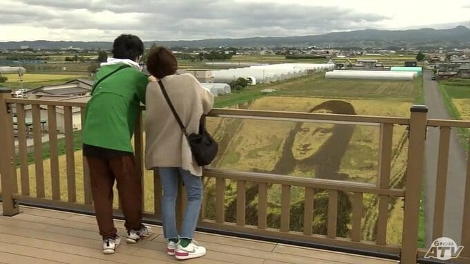 モナリザも黄金色の微笑に　月日で変化する田んぼアートの表情　青森|TBS NEWS DIG
