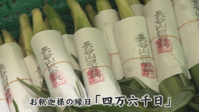 軒先に魔除けのトウモロコシ 夏の風物詩「四万六千日」お釈迦様の縁日の参拝で126年分の功徳|TBS NEWS DIG