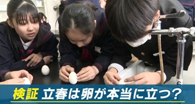 「立春の日に卵が立つ」って本当？ 石川・加賀市の小学生が卵150個で検証！　|　石川県のニュース｜MRO北陸放送
