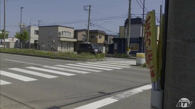横断歩道を歩く91歳の女性をワゴン車ではねて大けがをさせたか　女性はその後病院で死亡　50歳の会社役員の男を逮捕　横断歩道に信号機なし　男は容疑を認める|TBS NEWS DIG