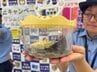 「知らない電話ムシ」「あやしいメールムシ」“スズムシ”配って特殊詐欺を防止！　県内では過去最悪の約215億円の被害　愛知・尾張旭市　|　名古屋・愛知・岐阜・三重のニュース【CBC news】 | CBC web