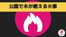 公園の木が燃える火事【長崎県 諫早市 宇都町】　|　長崎のニュース | 天気 | NBC長崎放送