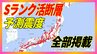 日本全国の活断層、最高Sランク以下のZランクでも大地震の可能性…約2000の活断層以外に、未知の“隠れ活断層”も【Sランク活断層・Ⅲランク海溝型地震 全部掲載】|TBS NEWS DIG