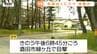 民家すぐ隣の林で...酒田市の住宅街でクマ1頭目撃　きょう夕方には米沢市でも目撃　クマ出没警報継続中（山形）　|　山形のニュース│TUYテレビユー山形