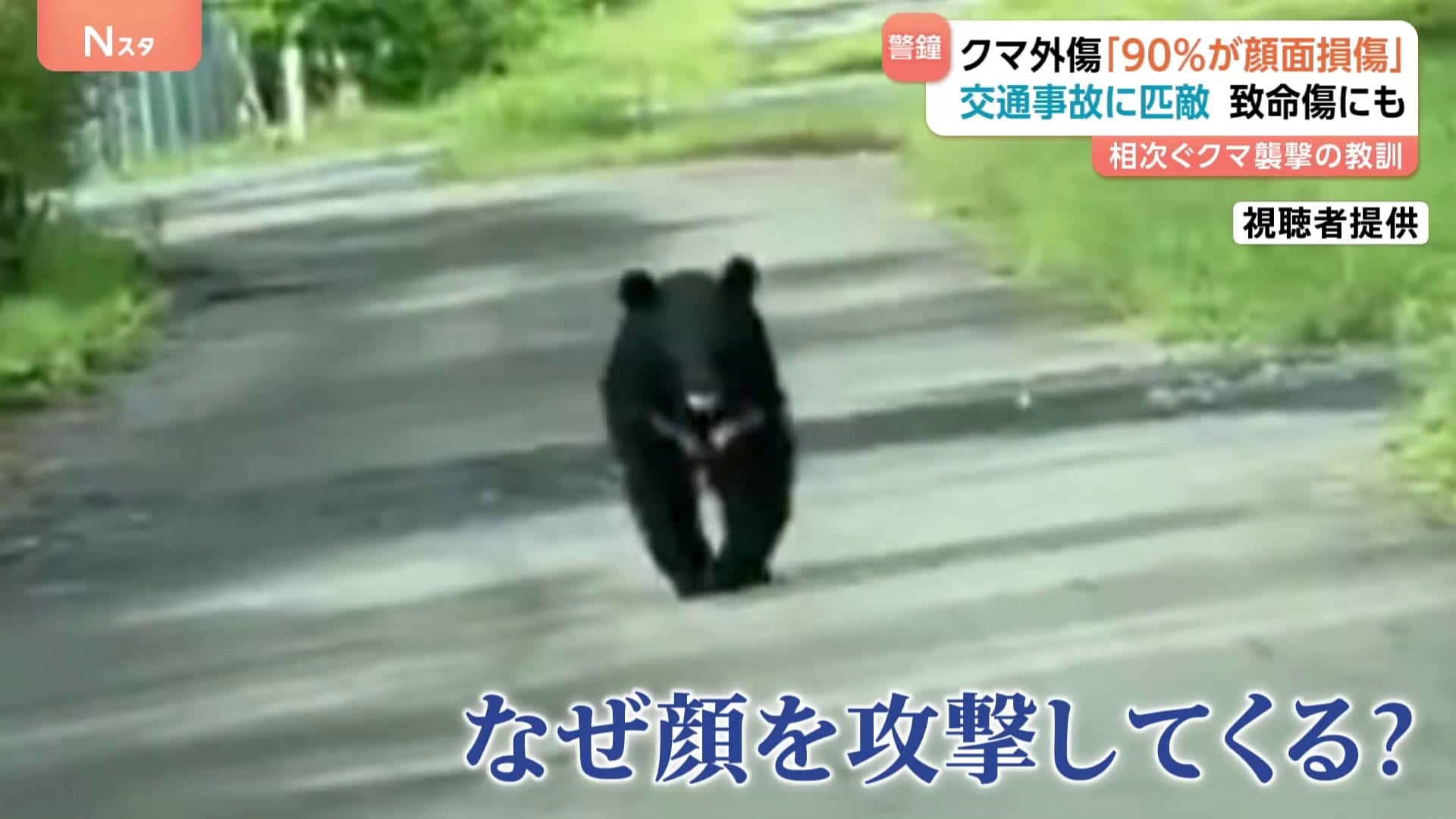 クマ 事故