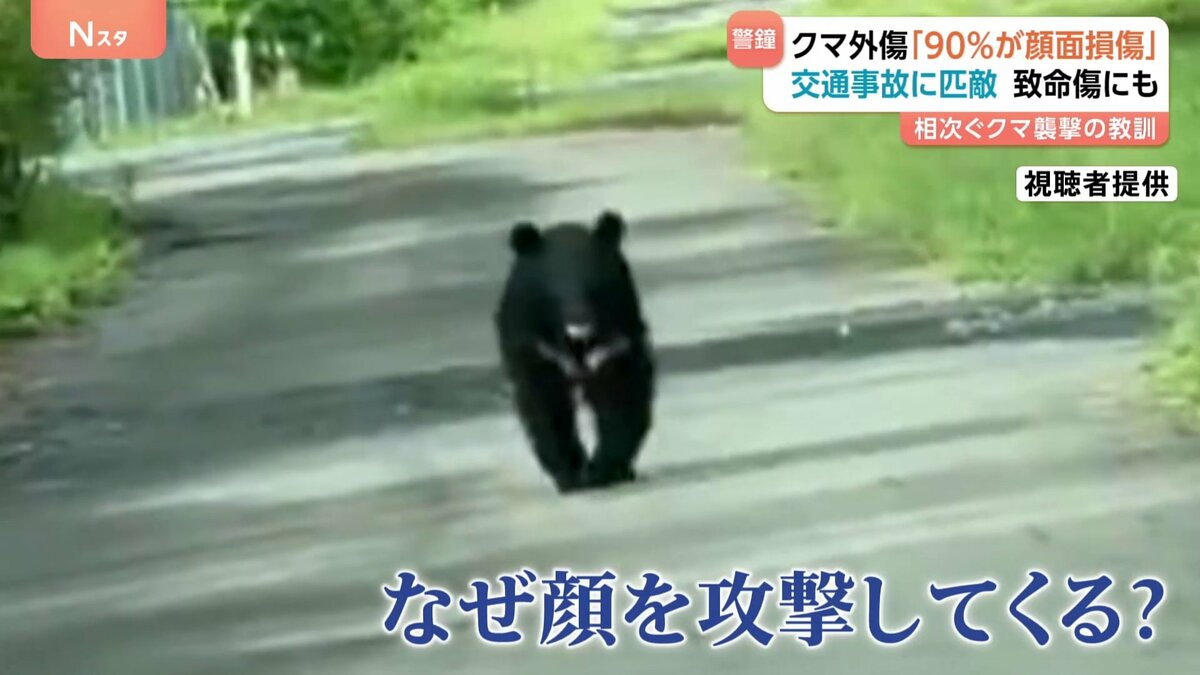 クマによる外傷“顔面損傷が約9割”致命傷も… 救命に聞く命守る“防御姿勢