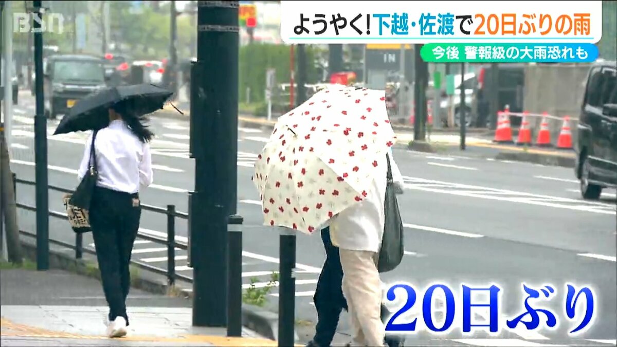 新潟市は20日ぶりの雨 各地に恵みの雨も警報級の大雨の恐れも | 新潟の