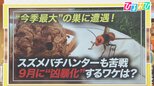 「黒を攻撃」「手で払っちゃダメ」9月に❝凶暴化❞するスズメバチの対処法を研究者に聞く【ひるおび】|TBS NEWS DIG