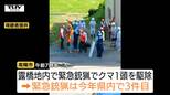 県内で今年3件目の緊急銃猟 けさ早くから複数の目撃、南陽市でクマ駆除 市街地での目撃件数は去年の同じ時期の3倍に(山形)|TBS NEWS DIG