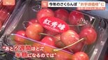 さくらんぼ今年は“お手頃価格”に 去年・おととしは「不作」 スーパーでは来月に「半額ぐらいになるのでは」|TBS NEWS DIG