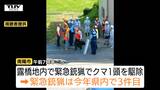 県内で今年3件目の緊急銃猟　けさ早くから複数の目撃、南陽市でクマ駆除　市街地での目撃件数は去年の同じ時期の3倍に（山形）　|　山形のニュース│TUYテレビユー山形