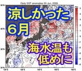 「涼しかった」6月・・・東京は3年半ぶりに平均気温が平年を下回り夏日・真夏日ともに5月より減少　海面水温も1年前とは大きな差|TBS NEWS DIG