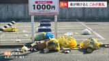 夜が明けるとゴミ散乱 4年ぶりのさくらカーニバル「残念というか、情けないというか」【岡山】|TBS NEWS DIG