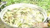 「ビールも最高合う」芋煮シーズン到来! 河川敷で地域の人を招いた試食会(山形市) | 山形のニュース│TUYテレビユー山形