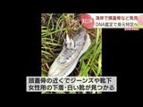 「やっぱりあった…」知床観光船事故の不明者か 漁師が発見の頭蓋骨 DNA鑑定で身元特定へ 北海道 | 北海道のニュース|HBC北海道放送