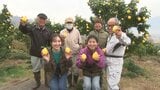 「この地区をレモンの丘にしたい」 “富士山レモン” 果実は大きく、皮は薄めで種が無い 新たな特産めざす 山梨・市川三郷町|TBS NEWS DIG