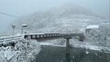 記録的大雪から2日、約1200戸で停電続く…高知では現地に入れていない場所も(25日午前10時30分時点) | 高知のニュース・天気|KUTV NEWS | KUTVテレビ高知