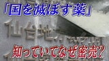 「国を滅ぼす薬」わかっていながら密売を続けた“東北の麻薬王”法廷で述べた最後の一言【裁判傍聴記・後編】|TBS NEWS DIG