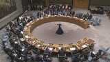 「平和に責任を果たす」国連安保理が議長声明　ウクライナ侵攻やパレスチナ自治区ガザの戦闘など念頭に|TBS NEWS DIG