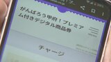 デジタル版プレミアム付き商品券再び追加販売　臨時議会で補正予算案が可決　甲府市|TBS NEWS DIG