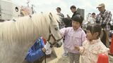 こどもの日 福島駅周辺で屋外イベント ポニーと直接触れ合える | 福島のニュース│TUF