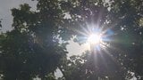 予想最高気温は甲府で33度　4日連続の真夏日か　熱中症対策を　山梨|TBS NEWS DIG