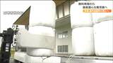 目的は「国内自給率の向上」宮城から鹿児島へ飼料用稲わら初出荷　飼料価格の高止まり続く中　|TBS NEWS DIG