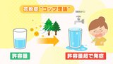 「次の日には花粉症になっているかも…」専門医に聞く 症状有無に関わらず“花粉浴びない”対策を|TBS NEWS DIG