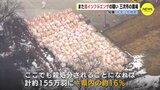 【鳥インフルエンザ】殺処分となれば計約155万羽で県内の16%に 三次市の農場で新たに疑い 広島県で今季5例目|TBS NEWS DIG