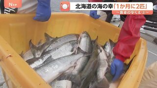 「仕入れ価格が2倍ぐらいに」北海道で獲れる食材に変化　海の幸カラフトマス「1か月に2匹」…温暖化をチャンスにサツマイモ栽培の新たな挑戦| TBS CROSS DIG with Bloomberg