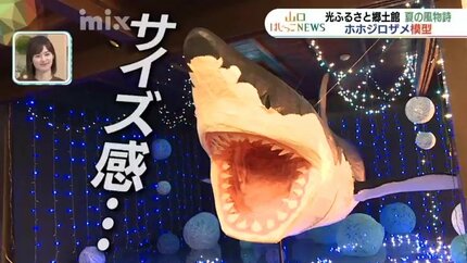 こだわりはどんどん強く…今年も巨大サメが出現 もはや夏の風物詩 山口