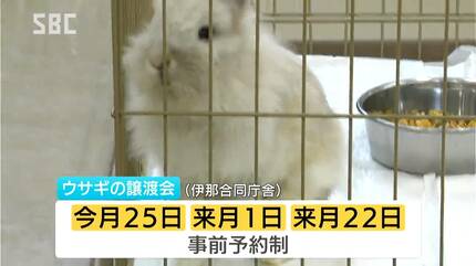 生涯大切に家族の一員として飼ってくれる方に」多頭繁殖のため保護され 