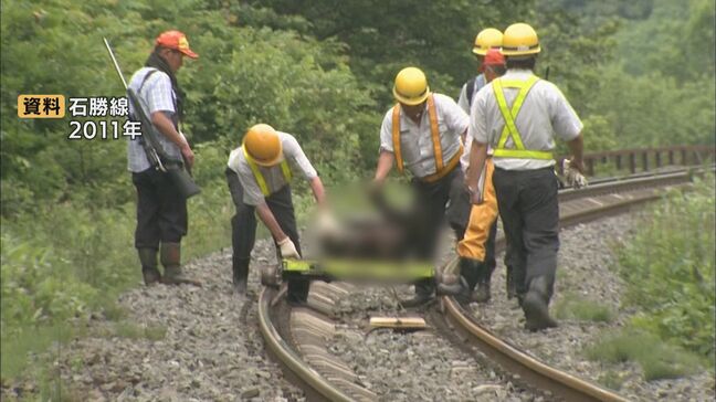 【JR北海道】クマとの衝突が過去最多　シカとの衝突は2100件超に　大きい個体は”クマキャッチャー”で処理|TBS NEWS DIG