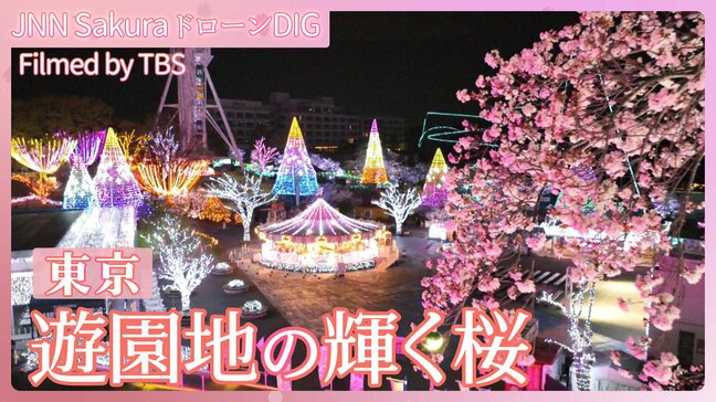 遊園地の輝く桜【JNN sakuraドローンDIG 2025】|TBS NEWS DIG
