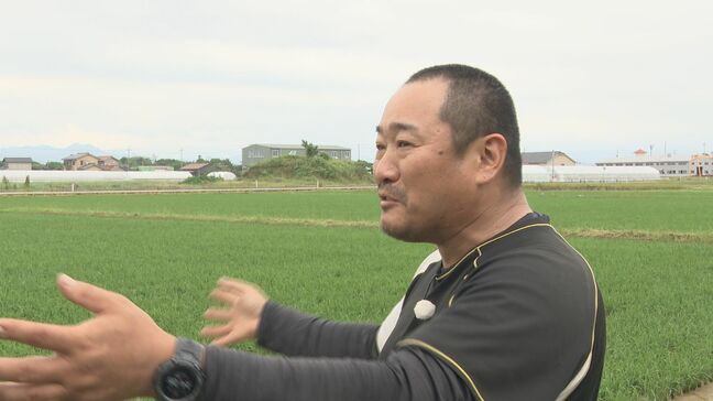 「今年は作る気なかった」備蓄米生産のコメ農家の思いは…“事実上”の減反政策？コメ価格は今後どうなる|TBS NEWS DIG