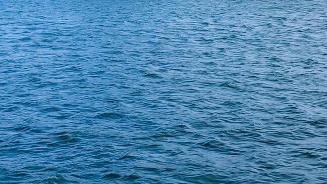 シートベルトしたまま…海中の車から見つかった氏名年齢性別不詳の遺体 52歳女性と判明【長崎・島原】|TBS NEWS DIG