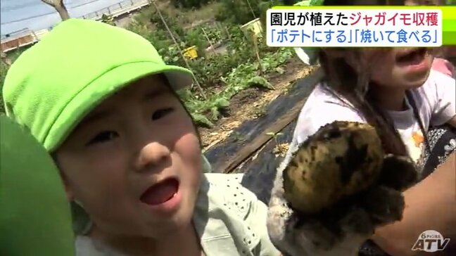 園児たちが春に植えた「ジャガイモ」を収穫! 熱中症対策は万全に夢中で収穫「焼いて食べる!」「ポテトにする!」 青森県青森市|TBS NEWS DIG