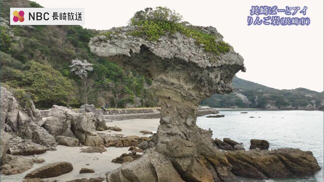 その姿はまるで“かじられたりんご”　長崎市かきどまり白浜海岸の奇岩「りんご岩」【長崎ばーどアイ】|TBS NEWS DIG