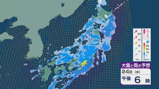 【イブの夜 雨雲の動きは？】日本海を低気圧が通過し日本列島は広い範囲で“雨のクリスマス・イブ”に 東海や関東では雨脚強まる時間も 雨と風シミュレーション|TBS NEWS DIG